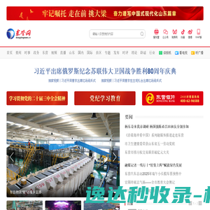 东营网