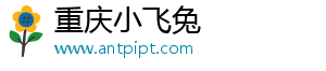 重庆小飞兔电子商务有限公司