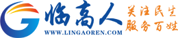 临高人网