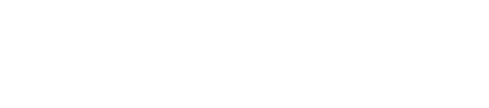 沃盾