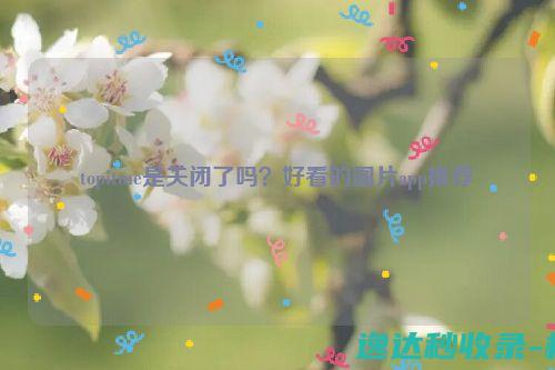 topitme是关闭了吗？好看的图片app推荐_站长新闻