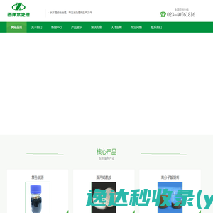重庆西洋水处理材料有限责任公司