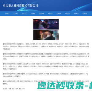 重庆狼之蛛网络技术有限公司