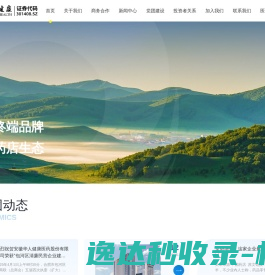 安徽华人健康医药股份有限公司