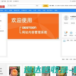 黄桃
